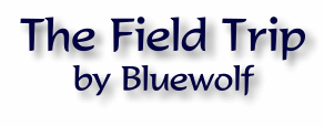 field-trip.gif (9450 bytes)