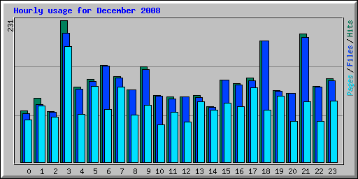 Hourly usage for December 2008