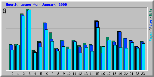 Hourly usage for January 2009