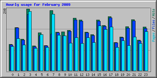 Hourly usage for February 2009
