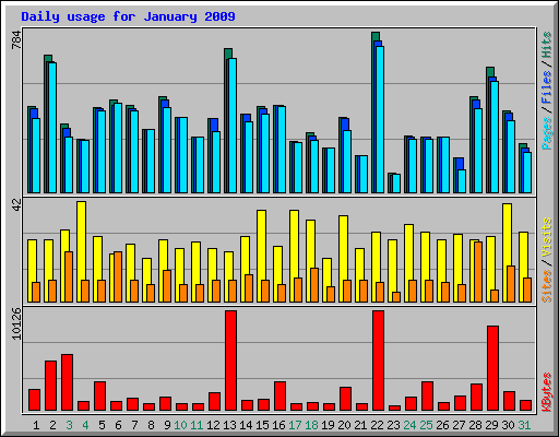 Daily usage for January 2009