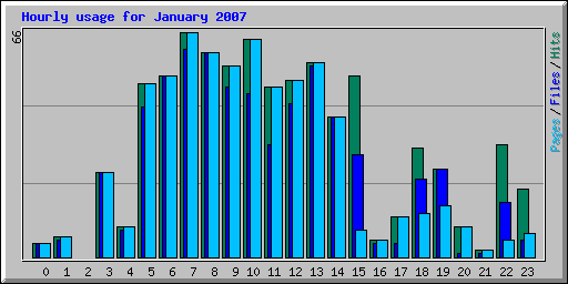 Hourly usage for January 2007