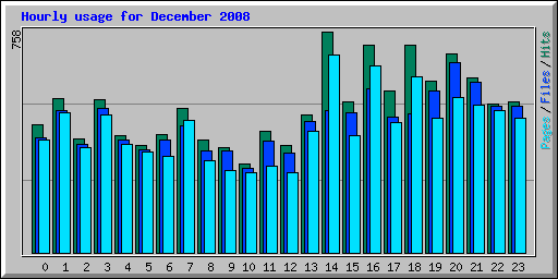 Hourly usage for December 2008