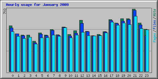 Hourly usage for January 2009