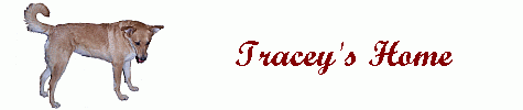 Tracey's Home