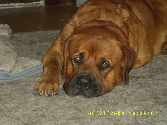 S4200084.JPG