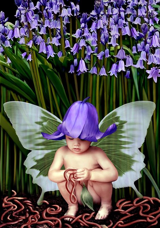 bluebell 