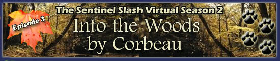 Into the Woods by Corbeau