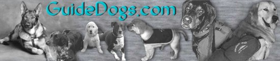Guide Dogs