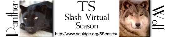 TS Slash Virtual Season