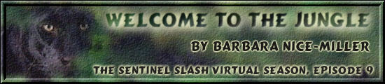 Welcome to the Jungle by Barbara Nice-Miller