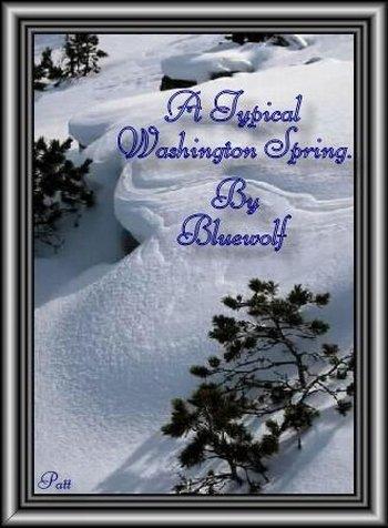 A Typical Washington Spring by Bluewolf