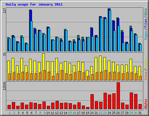 Daily usage for January 2011