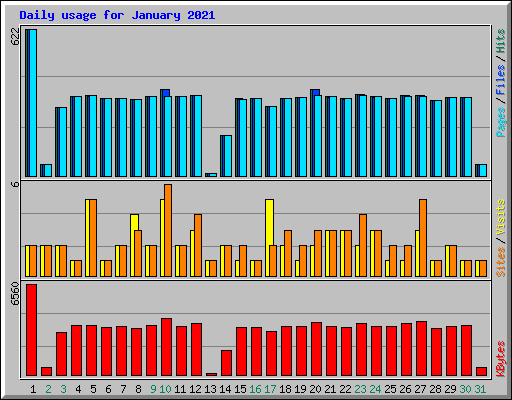 Daily usage for January 2021