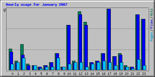 Hourly usage for January 2007