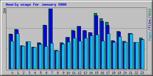 Hourly usage for January 2008