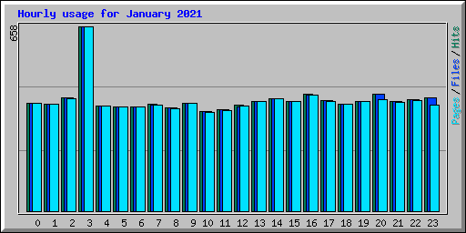 Hourly usage for January 2021