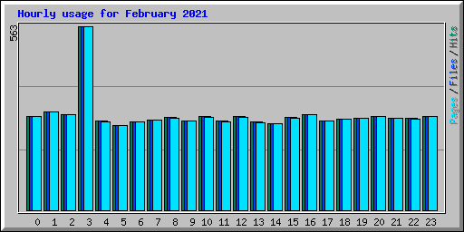 Hourly usage for February 2021