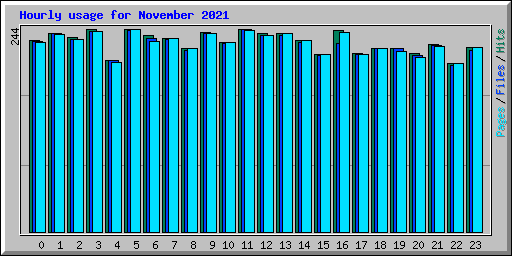 Hourly usage for November 2021