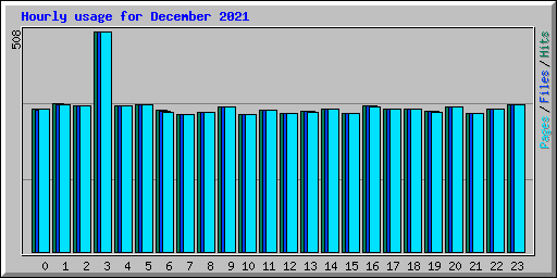 Hourly usage for December 2021