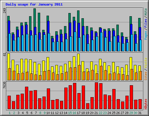Daily usage for January 2011