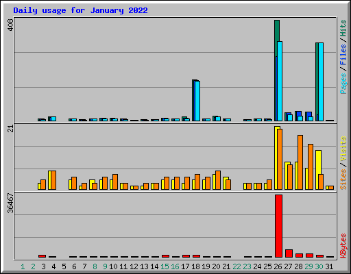 Daily usage for January 2022