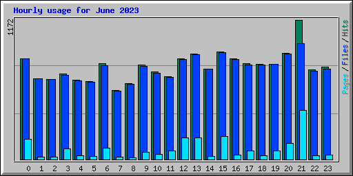 Hourly usage for June 2023