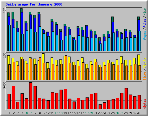 Daily usage for January 2008