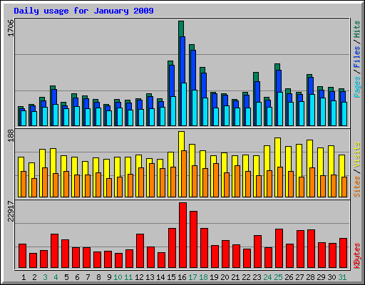 Daily usage for January 2009