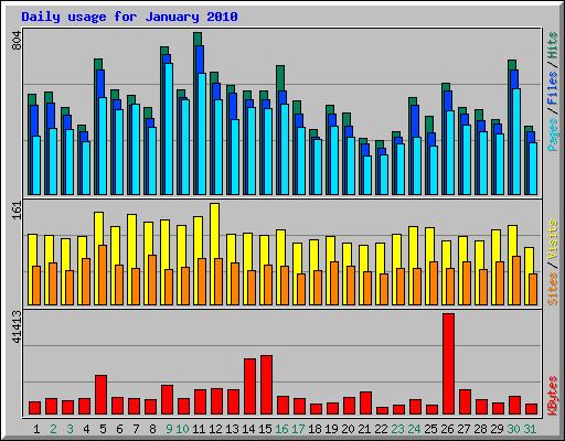 Daily usage for January 2010