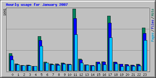 Hourly usage for January 2007