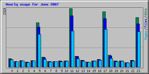 Hourly usage for June 2007