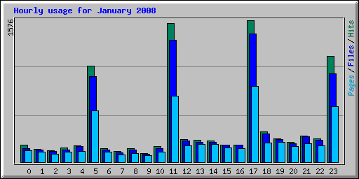 Hourly usage for January 2008