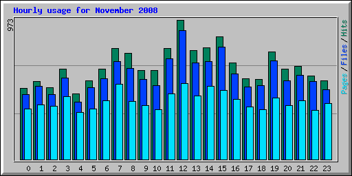 Hourly usage for November 2008