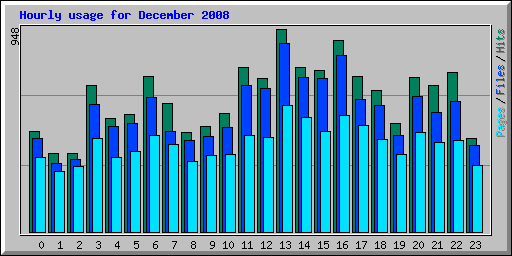 Hourly usage for December 2008