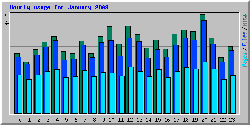 Hourly usage for January 2009