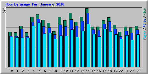 Hourly usage for January 2010