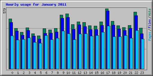 Hourly usage for January 2011