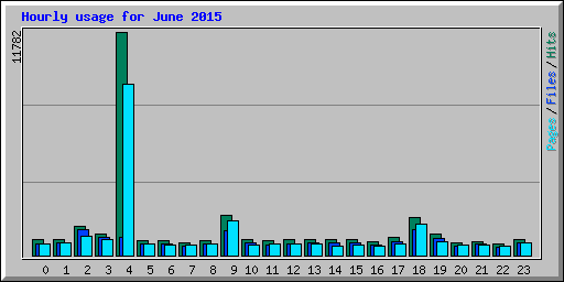 Hourly usage for June 2015