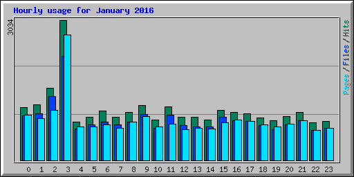 Hourly usage for January 2016