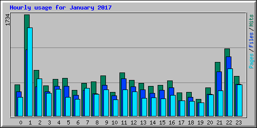 Hourly usage for January 2017