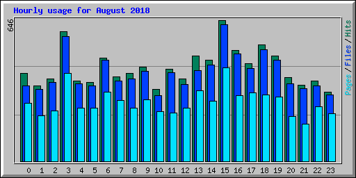 Hourly usage for August 2018