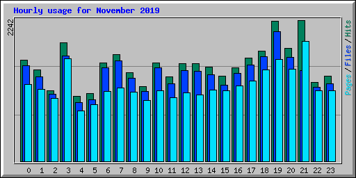 Hourly usage for November 2019