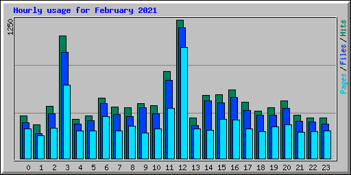 Hourly usage for February 2021