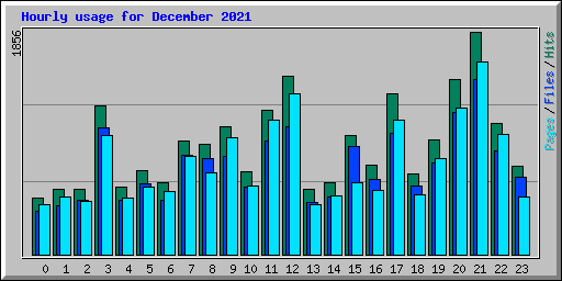 Hourly usage for December 2021