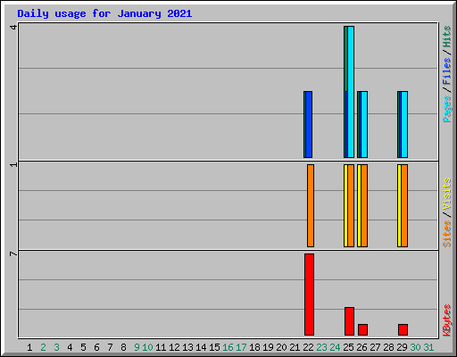 Daily usage for January 2021