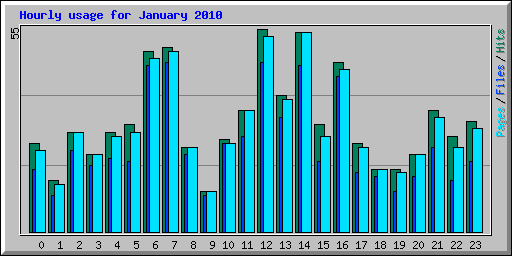Hourly usage for January 2010