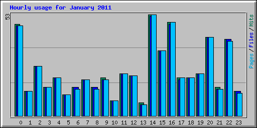 Hourly usage for January 2011