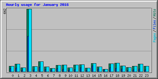 Hourly usage for January 2016