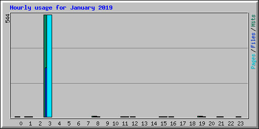 Hourly usage for January 2019